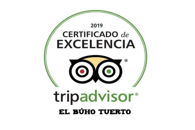 Trip Advisor 2019