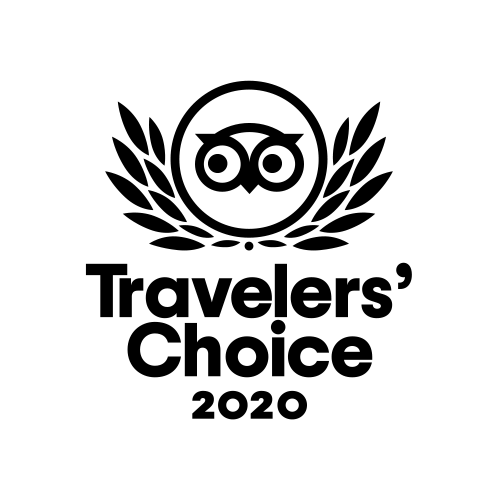 choice-2020.gif